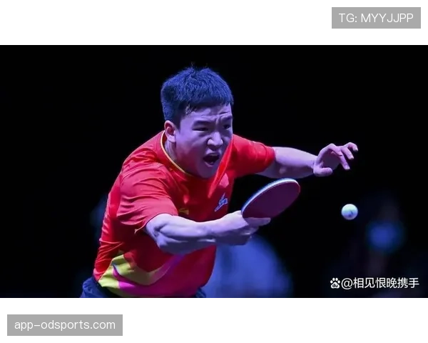 外物入场的判罚规则拆解：裁判何时干预比赛如何处理异常情况？