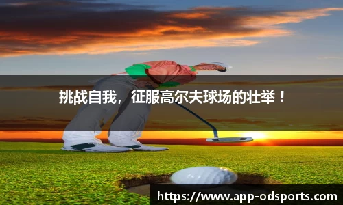 od官网平台